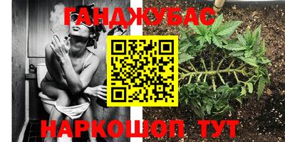индика Донской