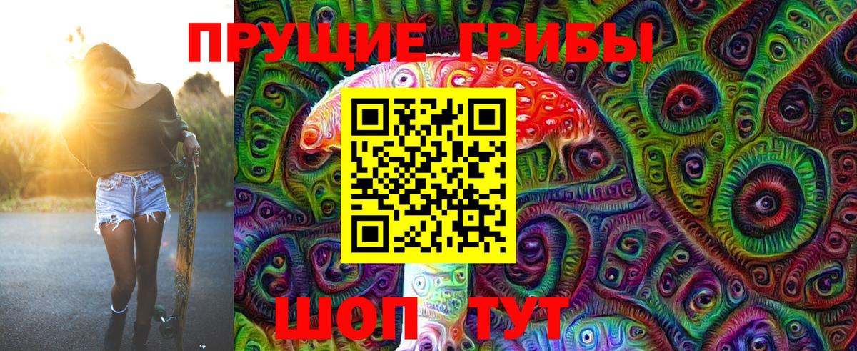 Галлюциногенные грибы Psilocybine cubensis Кострома